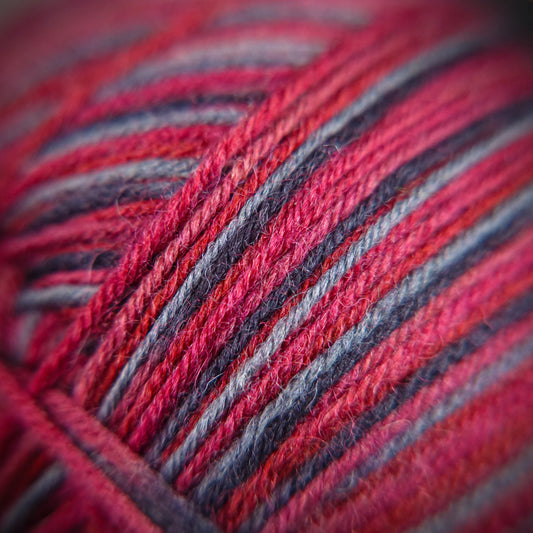 Macro photo of Sock Flock ‘Roasted Fig’ yarn showing blend of rich berry hues and soft ply texture.