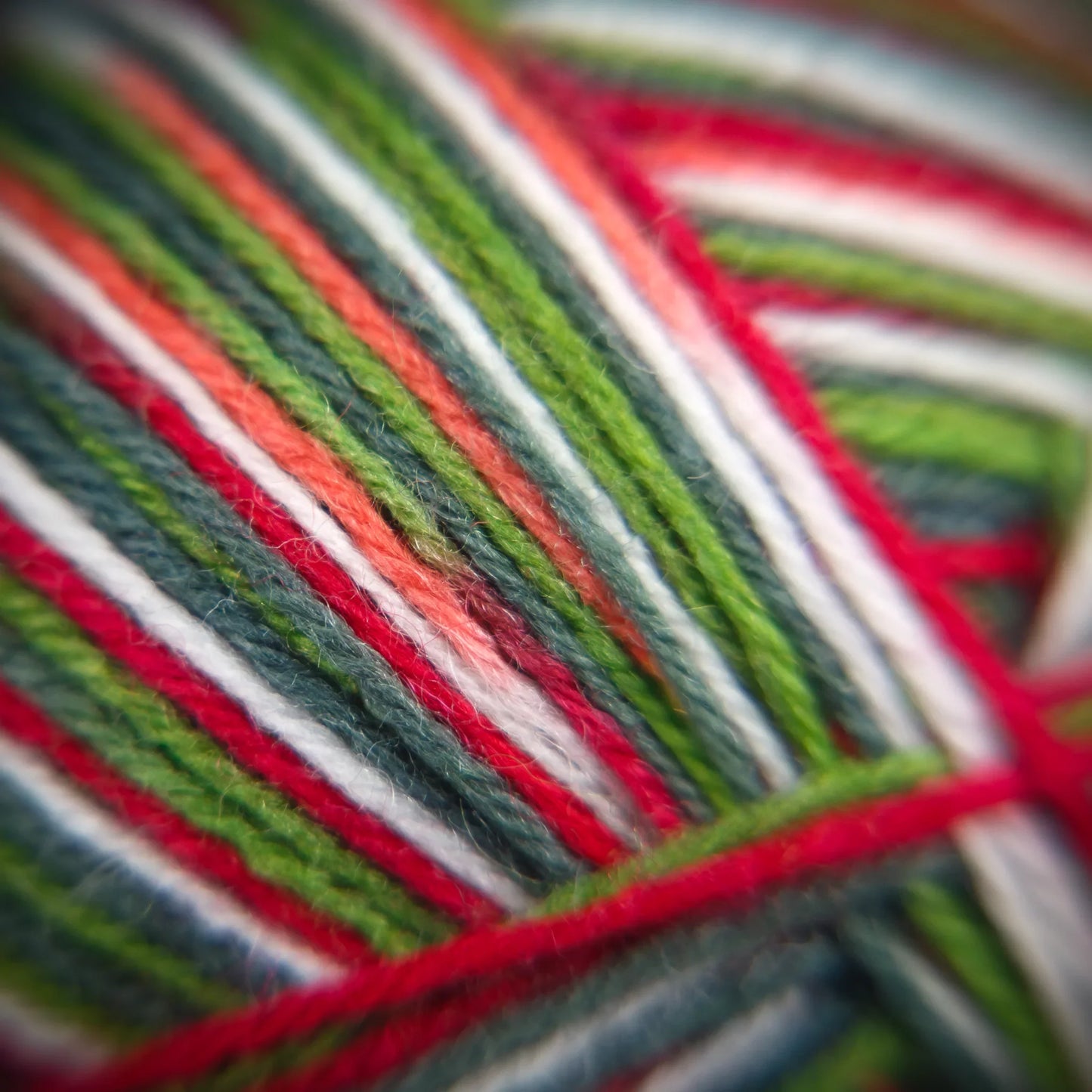 Macro view of Apple Gala yarn in soft blended strands of green, red and off-white.